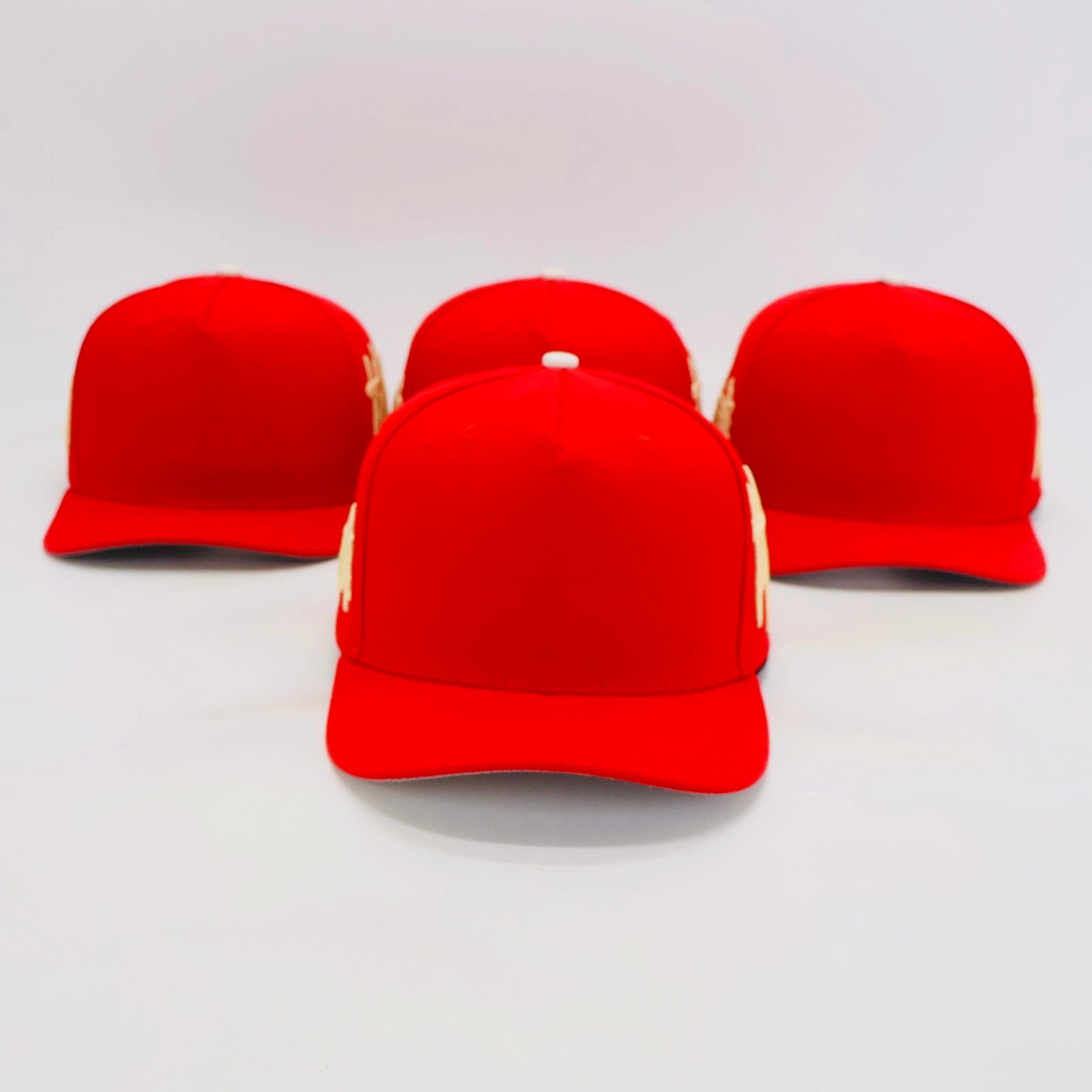 Big Taking Risks SnapBack Red