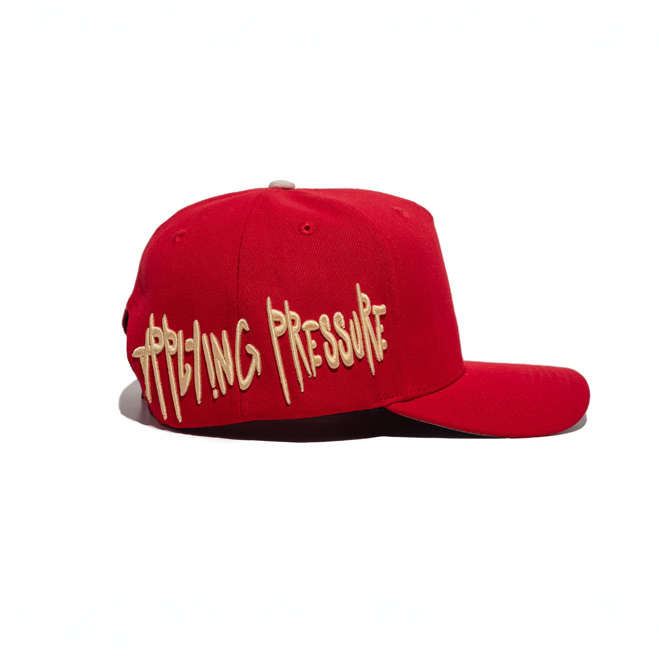 Big Taking Risks SnapBack Red