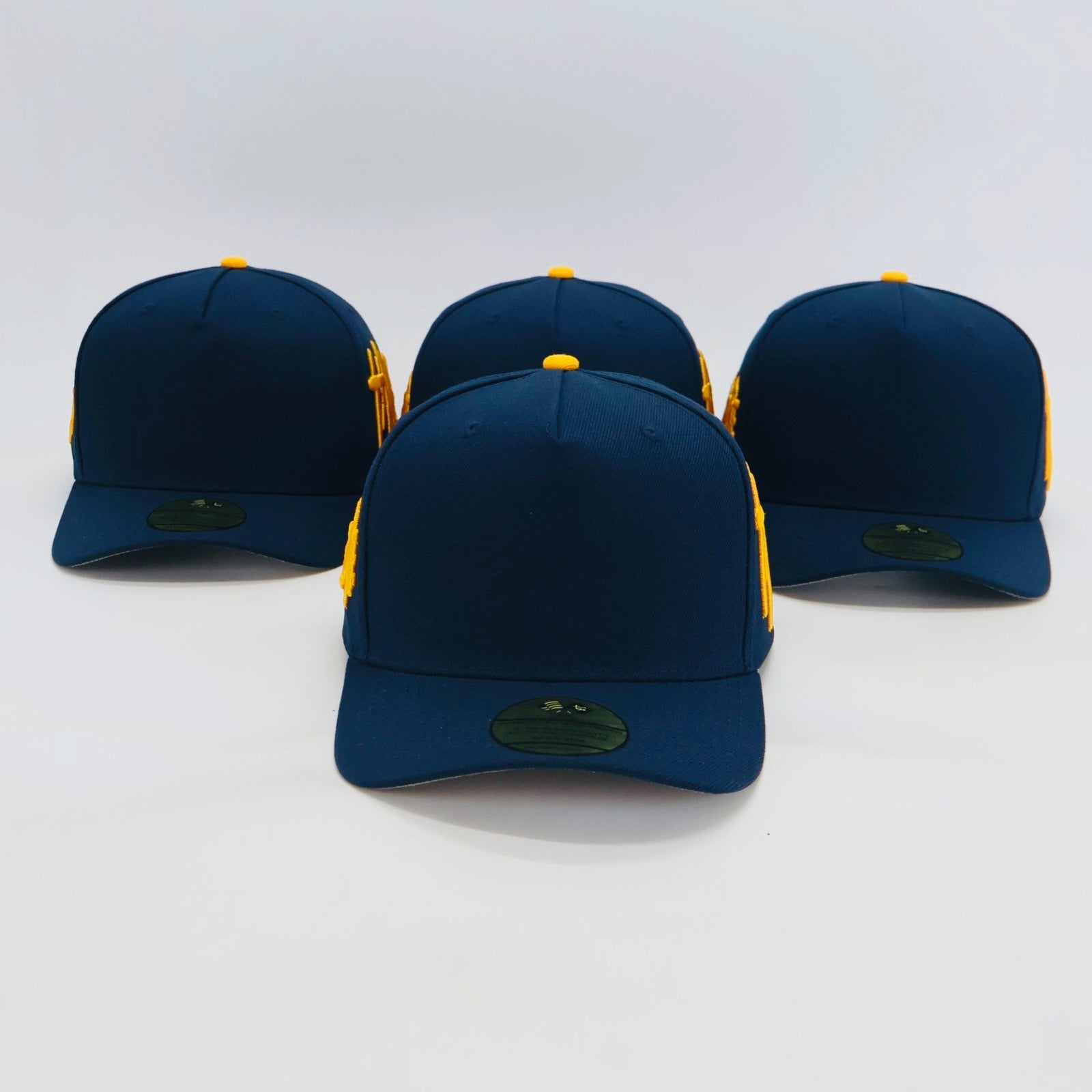 Big Taking Risks SnapBack Navy