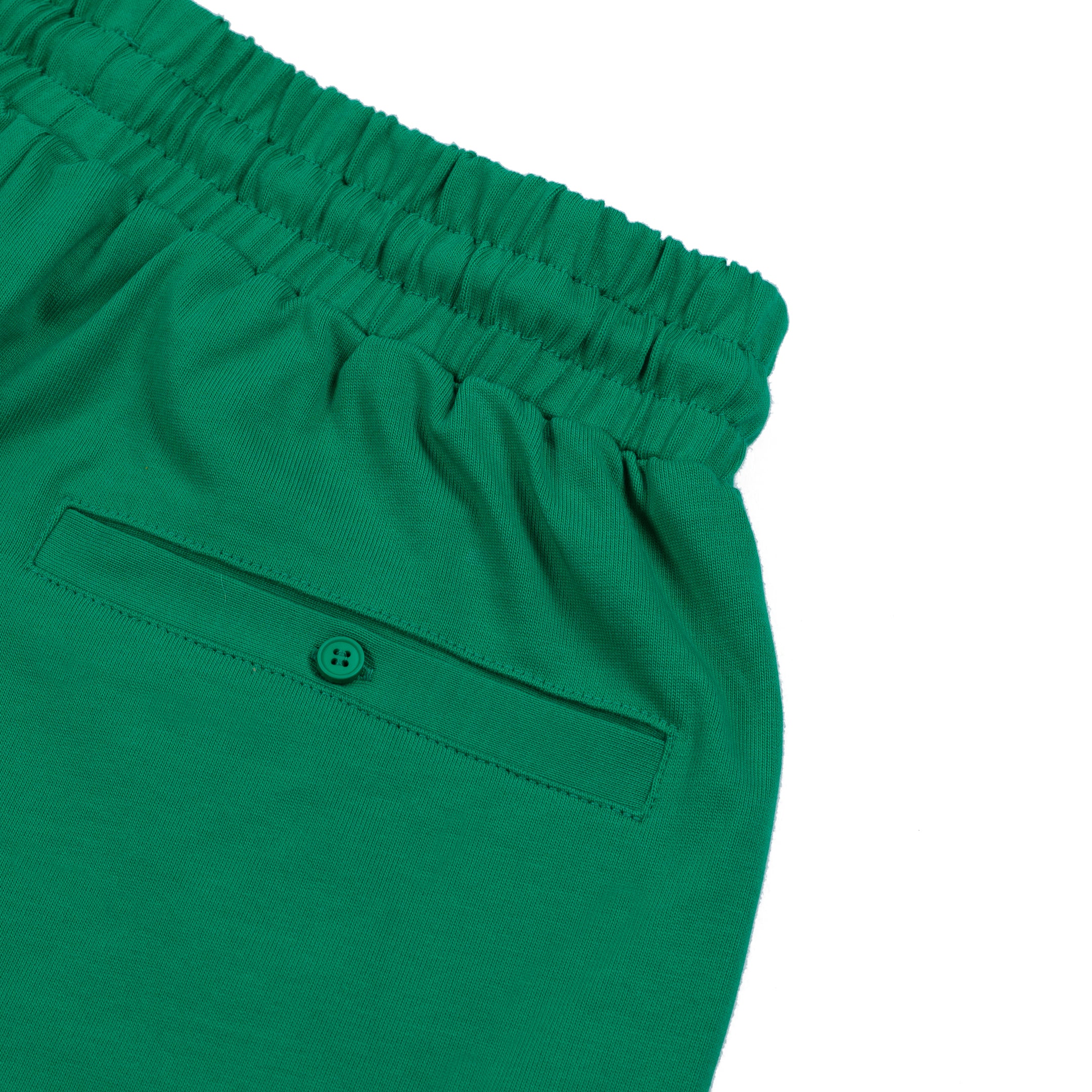 Trap Genius NYC Flag Shorts (Green)